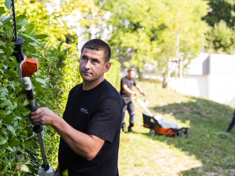 Heckenschnitt – Gartenpflege im Rahmen der Objektbetreuung